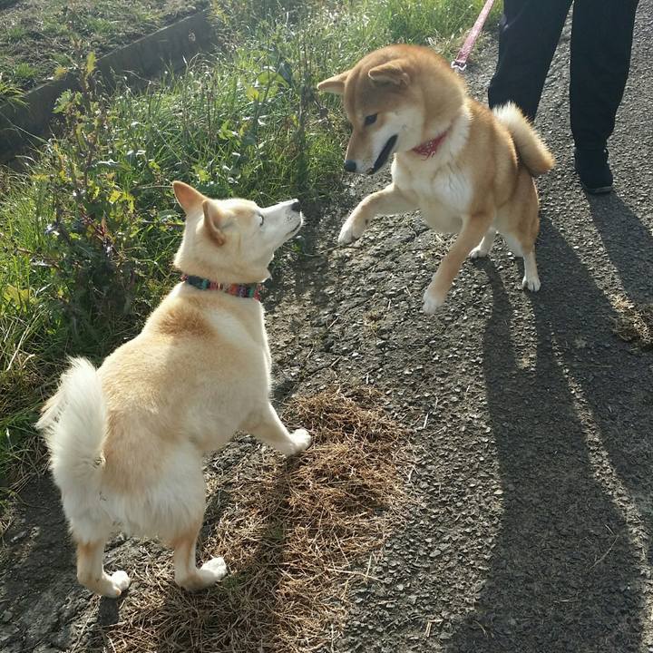 2221b401 f46d 4861 83e2 15b6a37ef34c