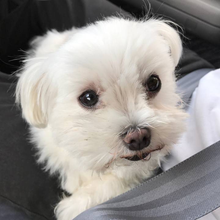 2222cb71 fe32 468c abaf c3d408c46081