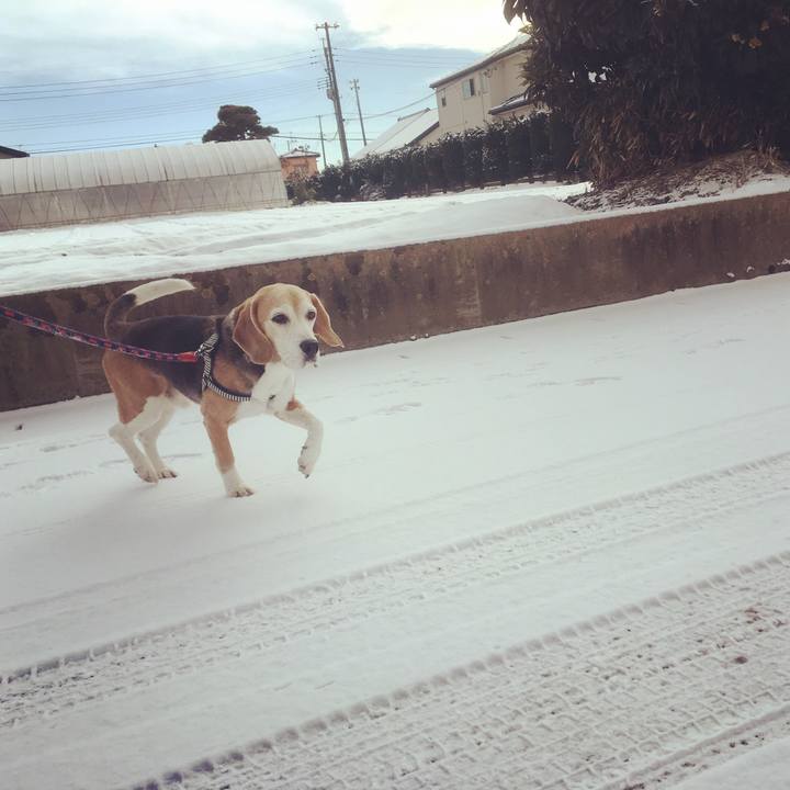 22231f57 86e9 4777 af6b 54dbc3fd9b1c