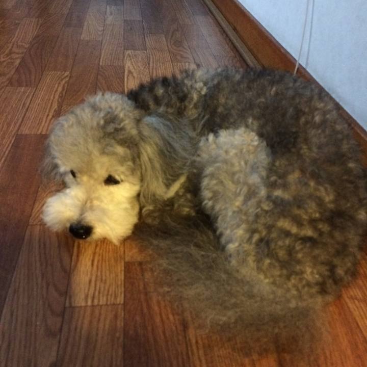 222385c5 58b2 49cc af83 d290cdc1b8b1