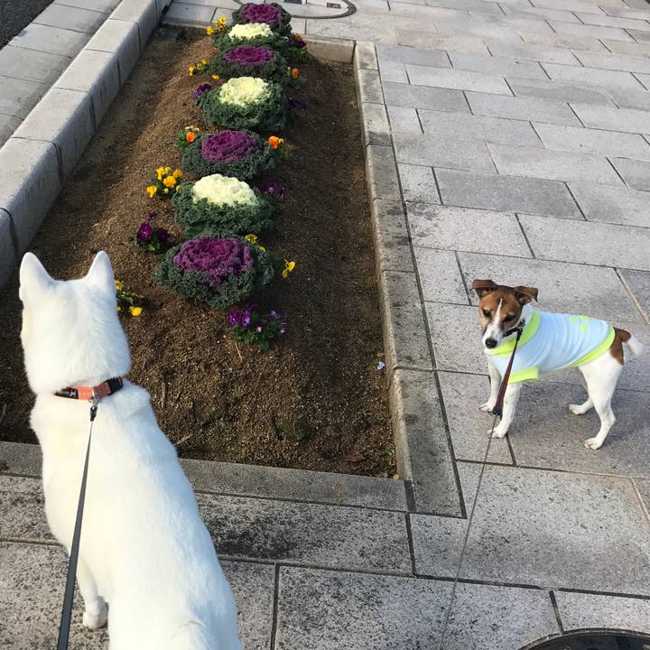 2223b877 0f84 4a38 b618 0762cf23c58b