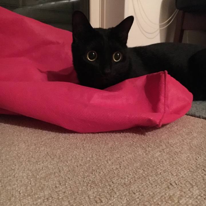 22244633 22e2 4c24 acbb be260f889445