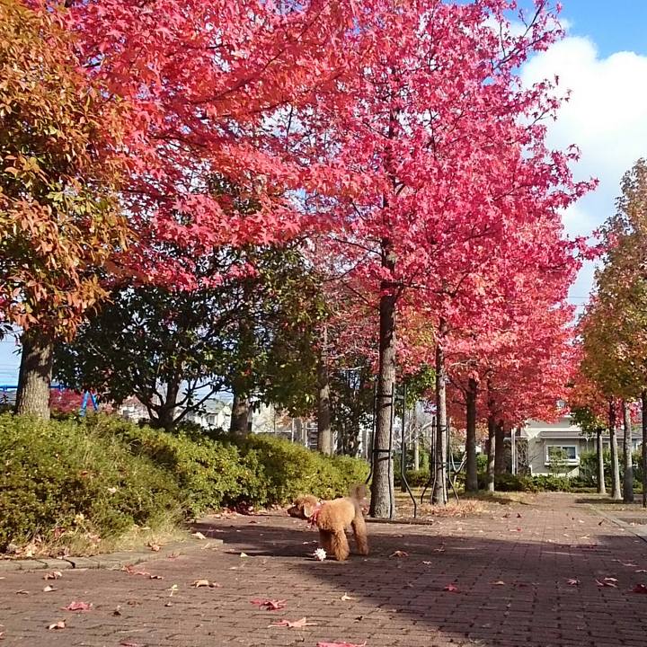 2224ce4b 08eb 405c 9df2 35cafbd8205f