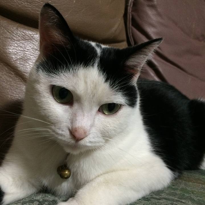 22257a4f b62e 4e20 8d89 494fa11d923c