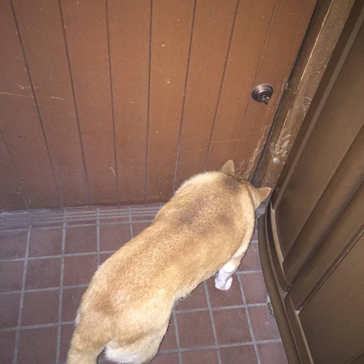 2226963b 4f17 475b a69a c2915c02c699