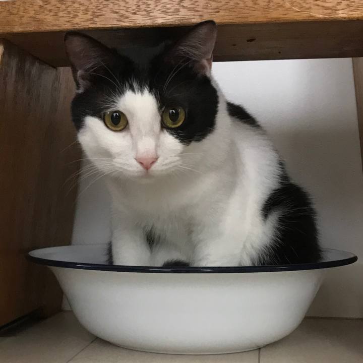 2226bbb8 9254 450e 92c6 d685e7346a80