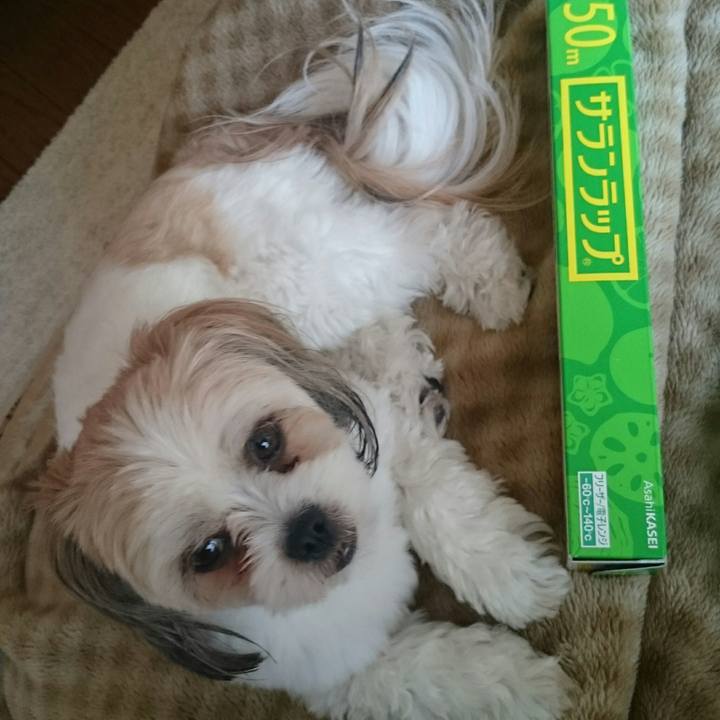 2226ce88 0610 46d2 81bc 112826c1b7bf