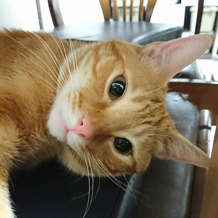 2228428b b875 4e85 a161 cbc4c7dc1a80