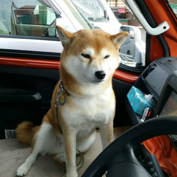 22286305 799e 459b ae36 cc7fba564cdd