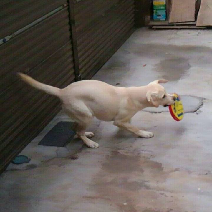 22291184 ca8a 4eb7 8cae 91dbe49adf91