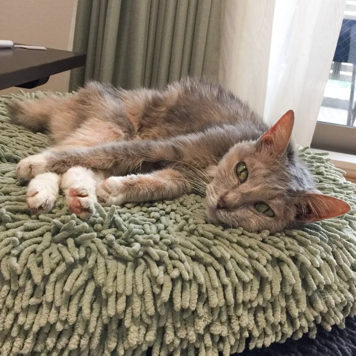 22294270 a49b 43a7 adde e8c8318d4149