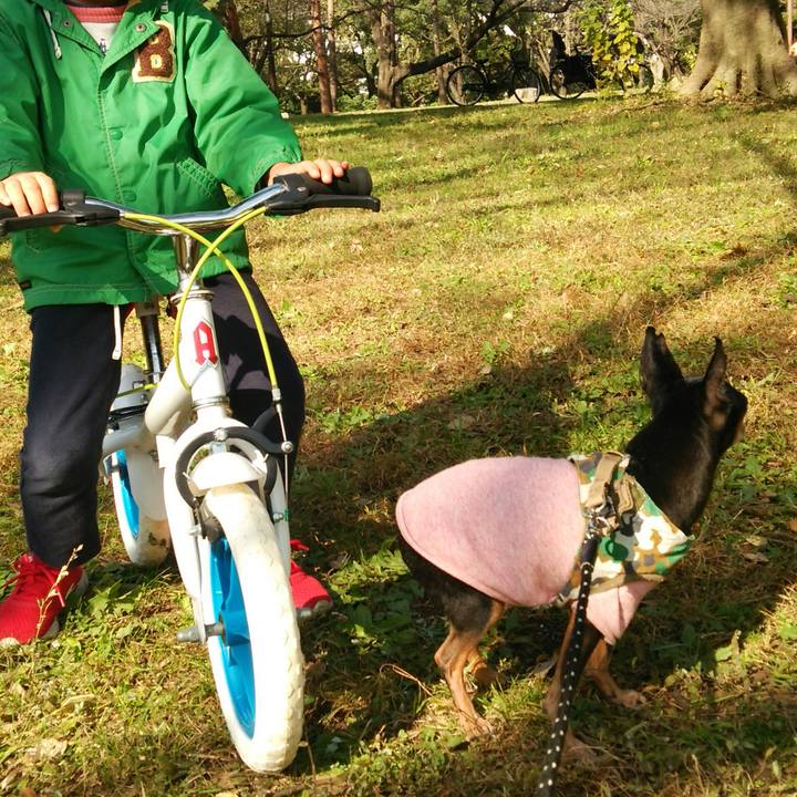 2229b6d1 f35f 4bc8 b9bc 8c9a69ac5c8b