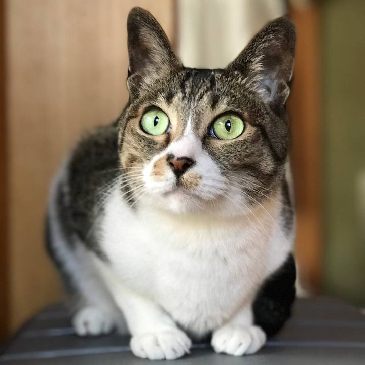 222a0534 ce5e 4cda bd34 7b3837e49246