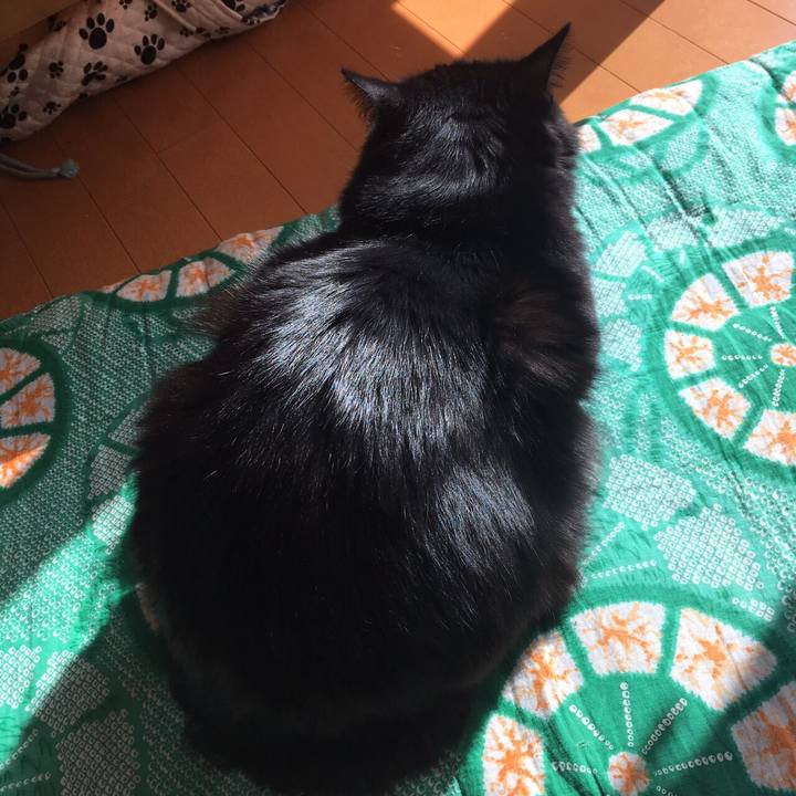 222a8e35 f1b8 46a2 b801 8bb43f0b6773