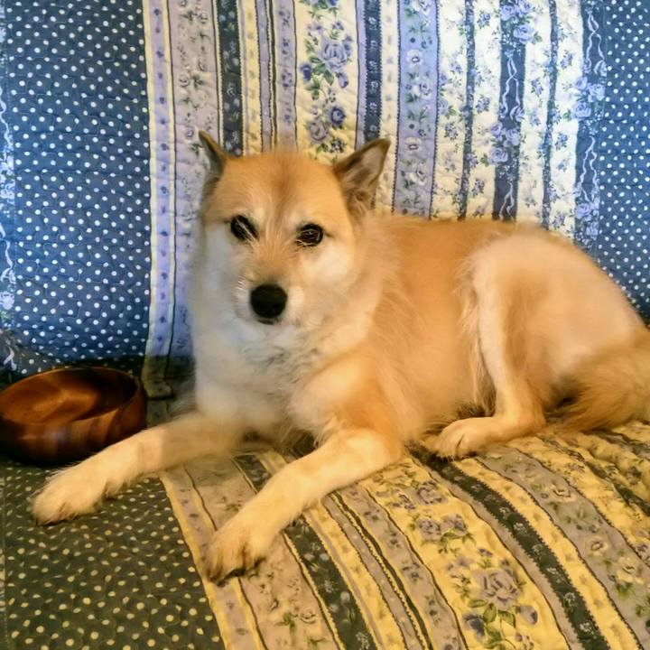 222aaf1e c9f6 4185 b38c 22d8c70c3274