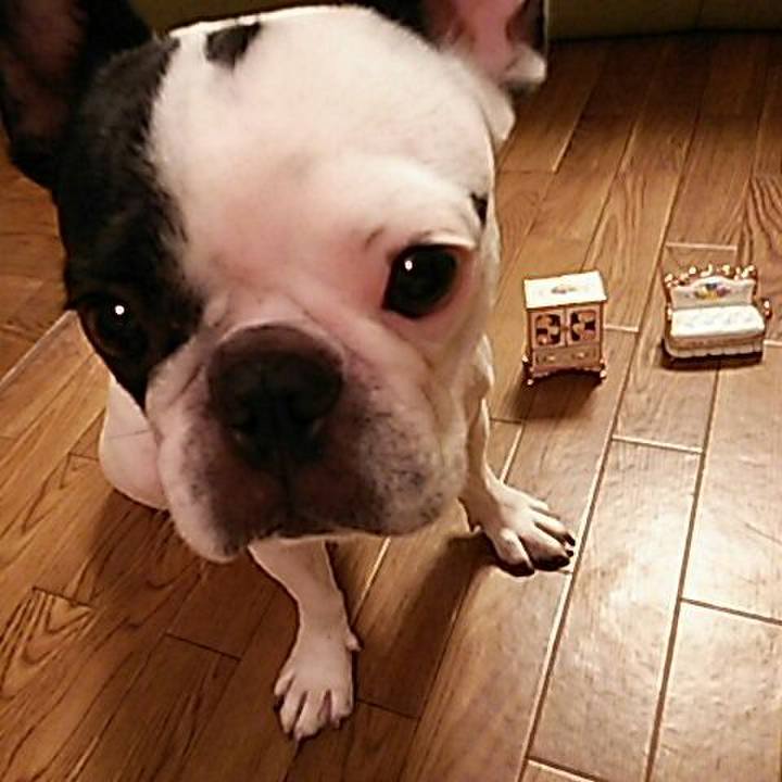 222addbe d760 4438 b0c9 bfe4e4ce11b0