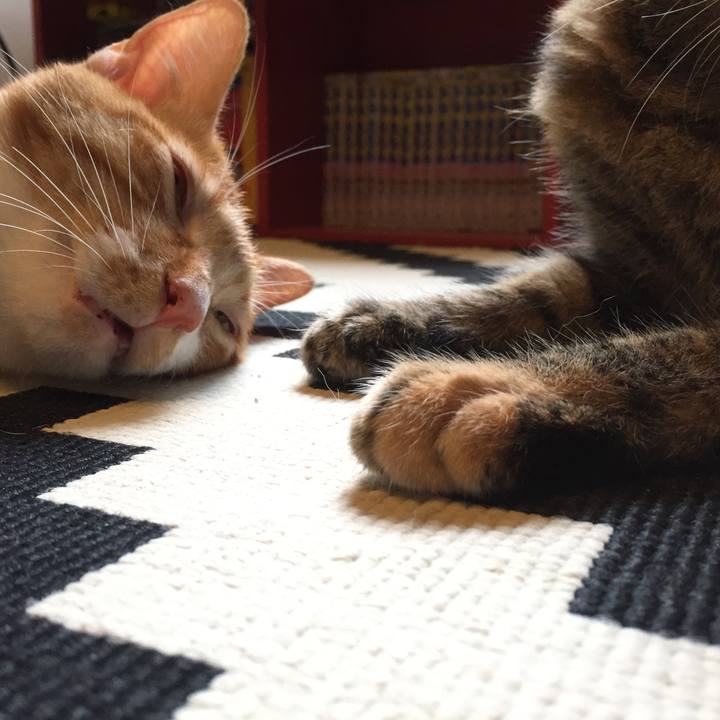 222c7977 b8a5 4540 a723 3ab235b78cdb