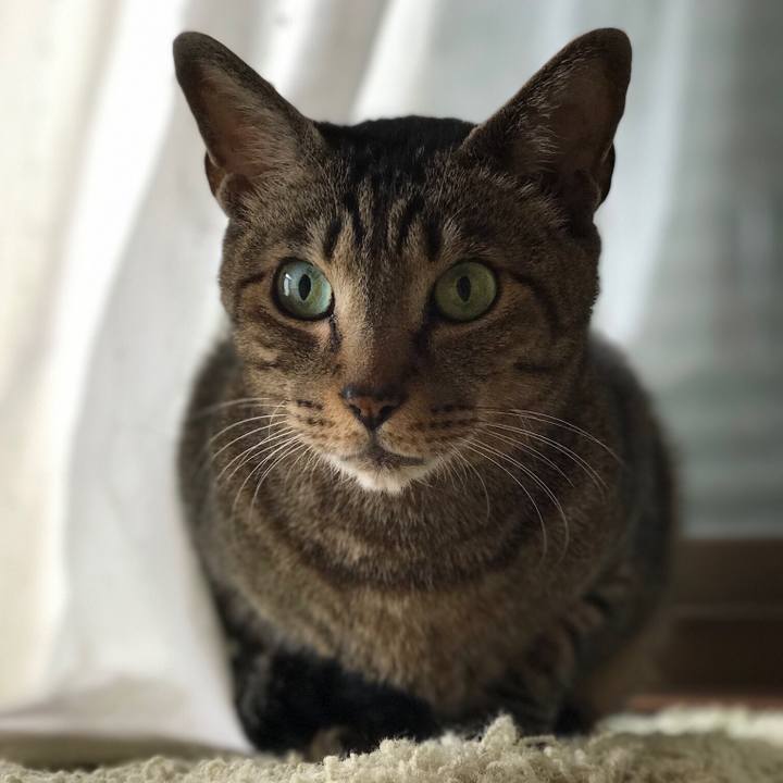 222ce43a bd2b 4161 88ed 9b8d0ba89c66