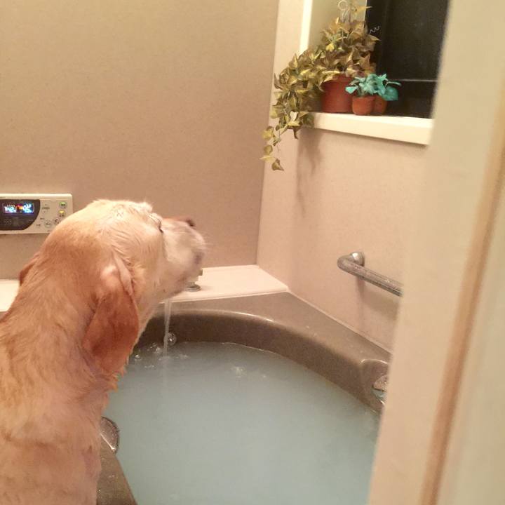 222d05f0 8dc9 43c7 8366 f1cdbbccc028