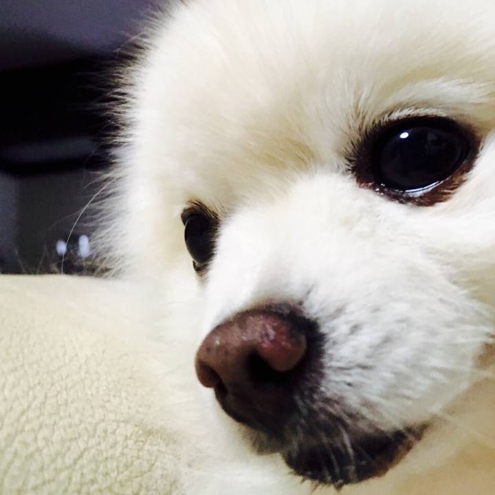 222d1748 4870 4b0e be38 2d03f6954e9e