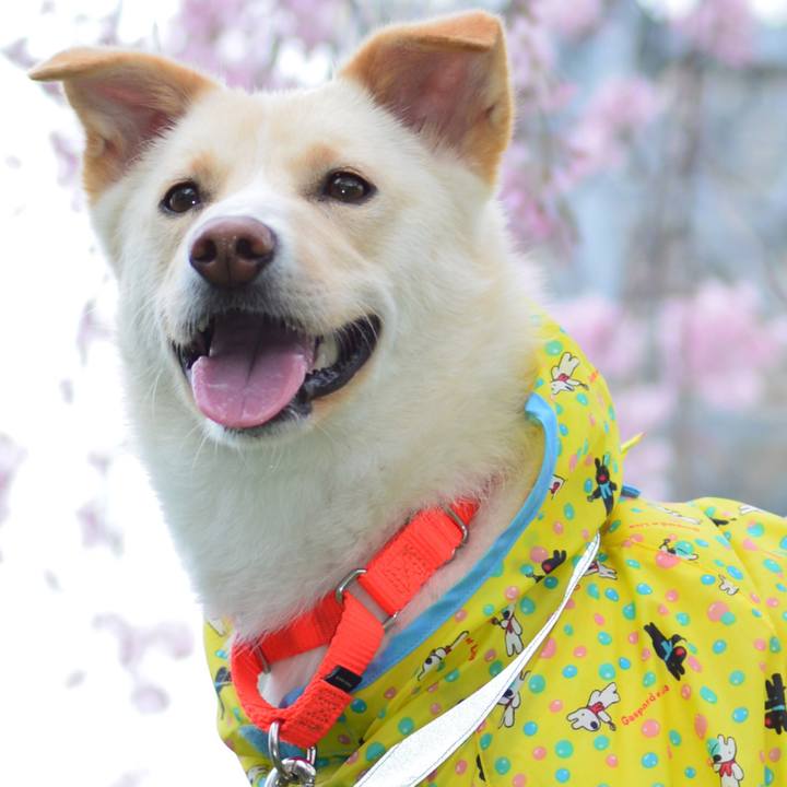 222d558d 5580 45ea 8662 974d7a6ddf1b