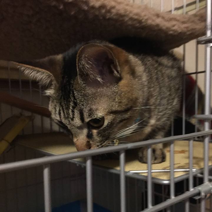 222d9da4 f703 4896 9a83 5cea54d1480d