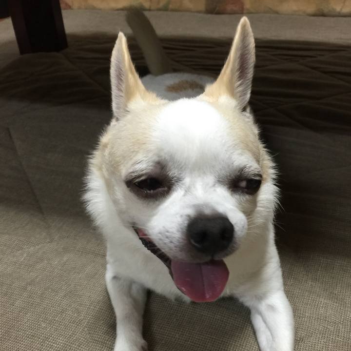 222dbbc7 c249 4c86 9d02 a01e679961b4