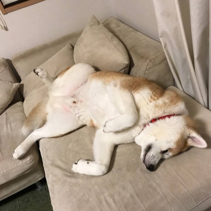 222e3e5d aff0 4817 b722 e89d9c77367f