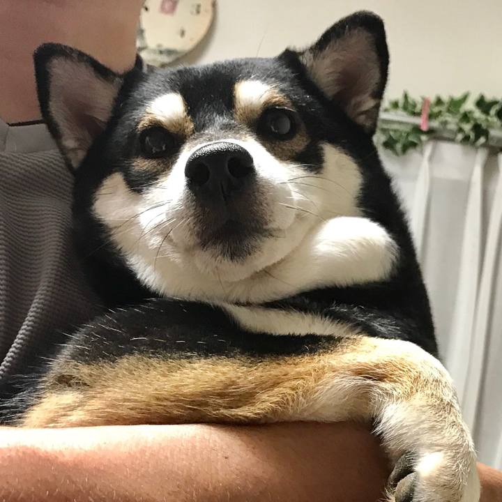 222e5de0 a3d8 4d26 8072 758b567e3966