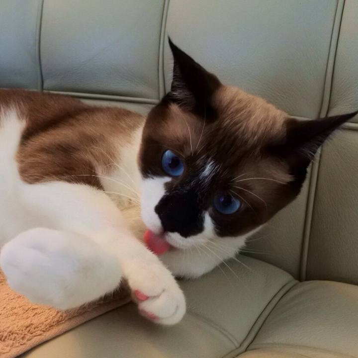 222e8bc1 206d 4eea bd5f bc6b050f0693