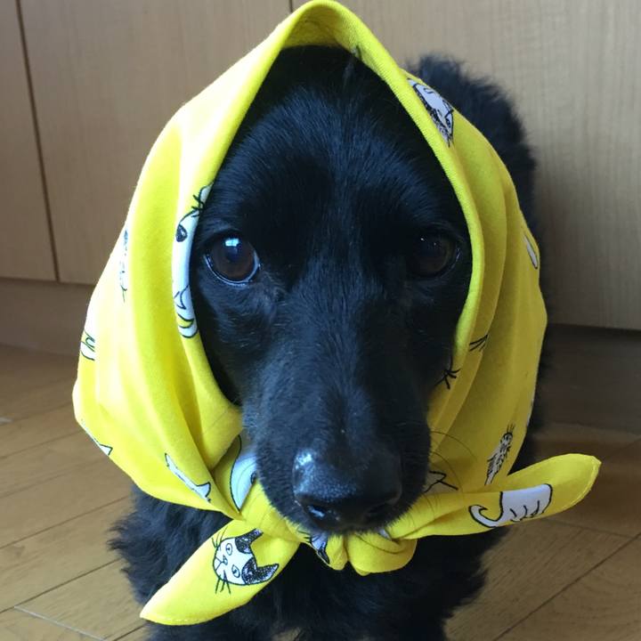 222f02fd e0df 47b0 9f8e 06e56c639604