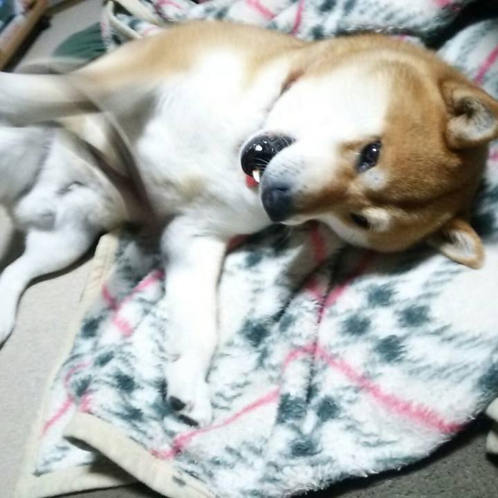 2230723c e9ea 4c44 9674 749a17aed429