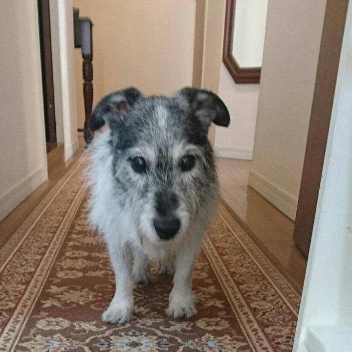 22317326 906b 4849 ae7b c267aae654be