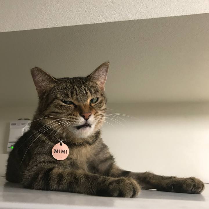 22318088 bdd5 4cb0 a382 ea62366dfe6b