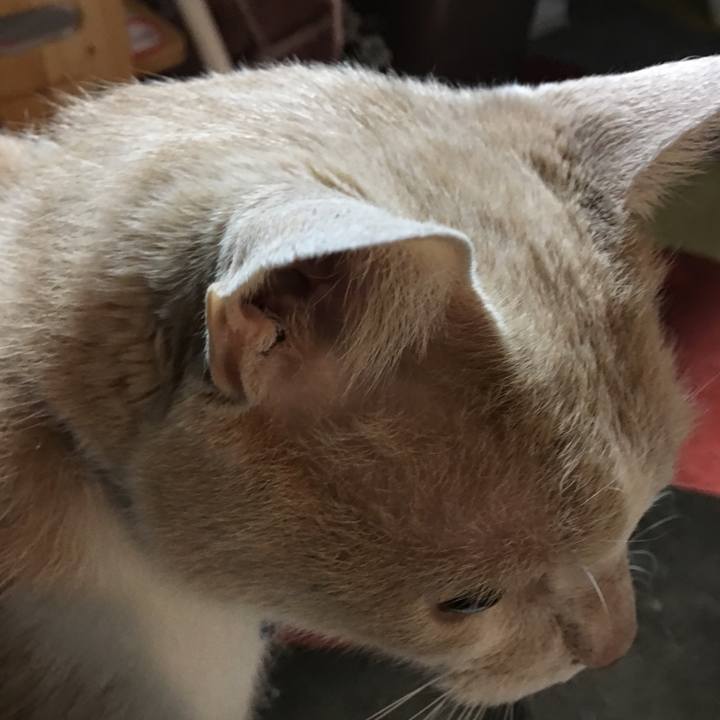 2231e3e2 0de8 4fd8 a0ee 91554efbae3e