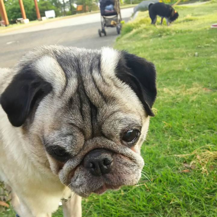 22325c1c 1b2d 420a 86a9 d6bf057759e4