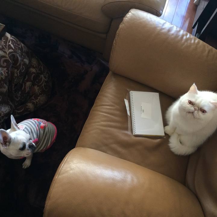 2232b97e adf9 4c0f 8774 af3db065aa59