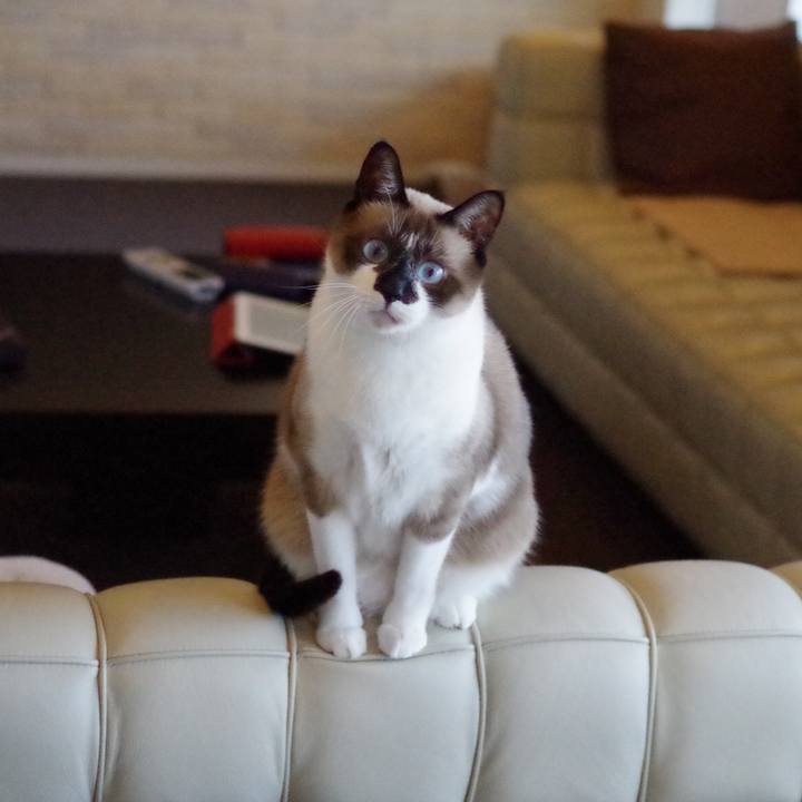 2232be33 810d 4e09 ad10 e9072a2ac6b9