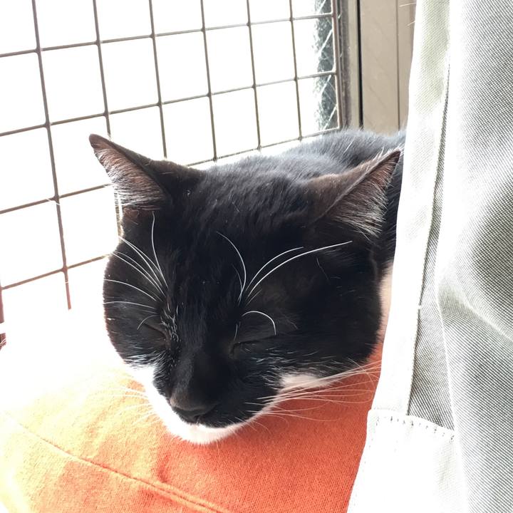 2233ace6 5581 4dc2 8cd2 462829f6205a