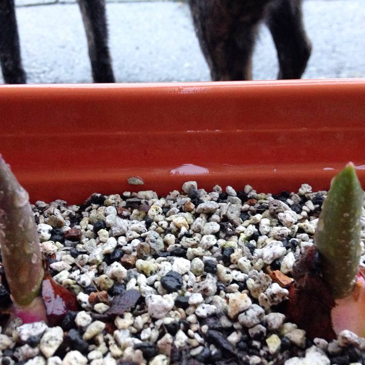 22343fef c213 46b6 b84f 2b17f238dddd