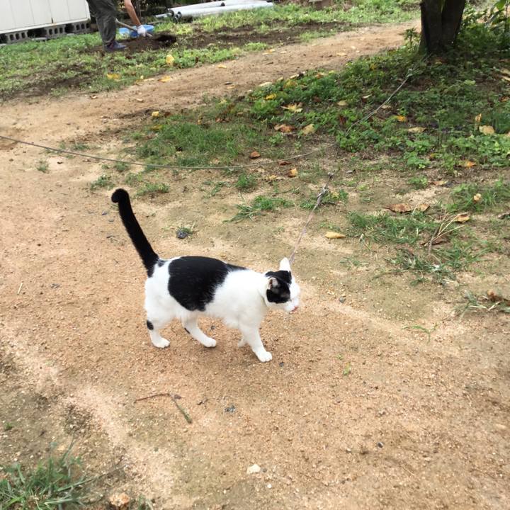 22353203 7a6f 4c4c aedd b5319ee70b53