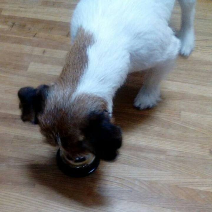 22354afa 5626 4866 9ae8 fbfb5942f8be