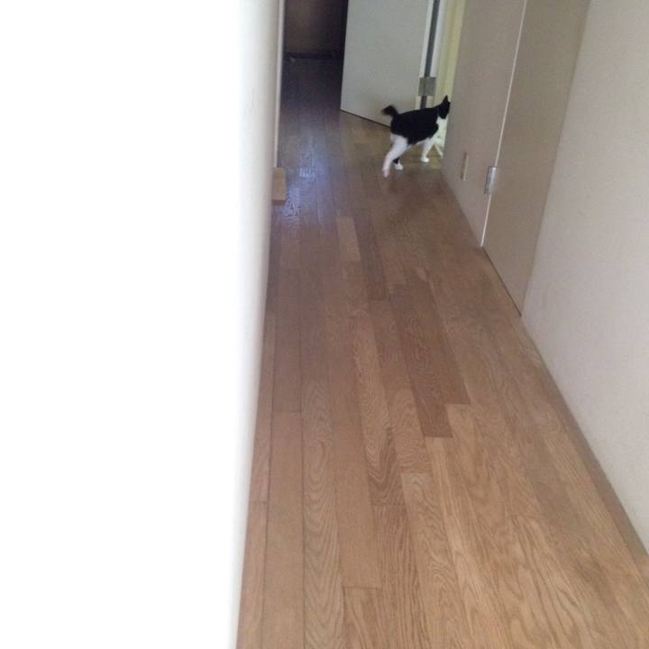 22358ab2 ab4c 4e20 befd 5034c3ea1829