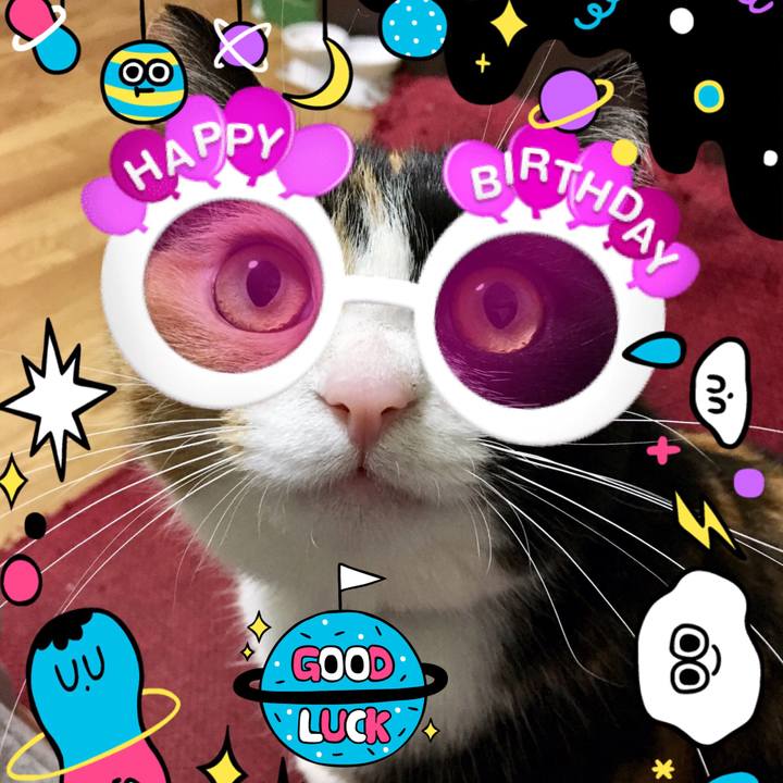 22362905 444a 481f a473 ea30381749a3