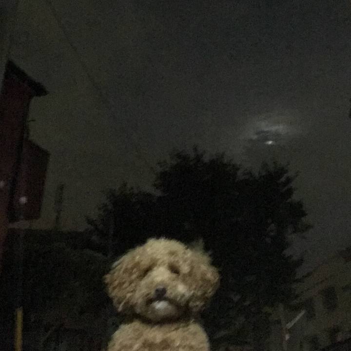 2236f566 cbfc 4190 b0bf b01372669d71