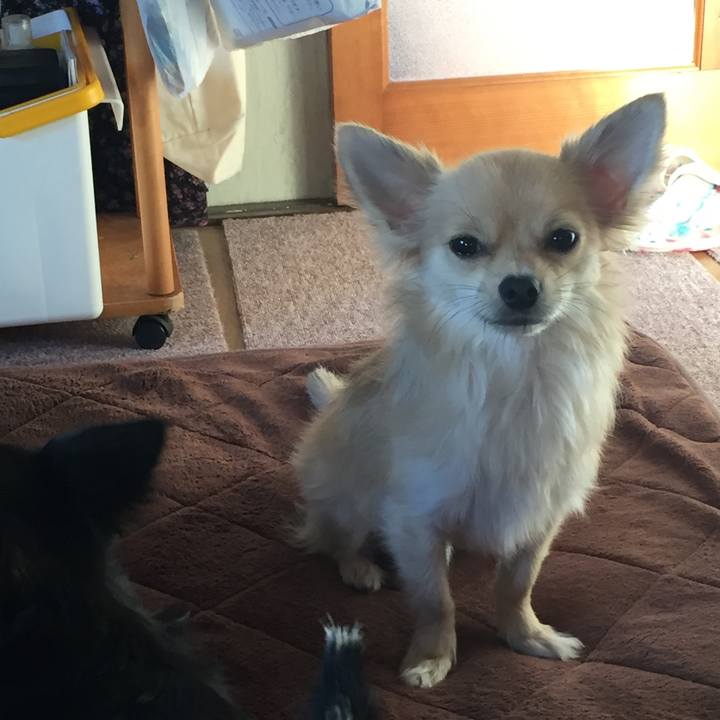 223737dc 7635 417f 8d20 32aeb351789a