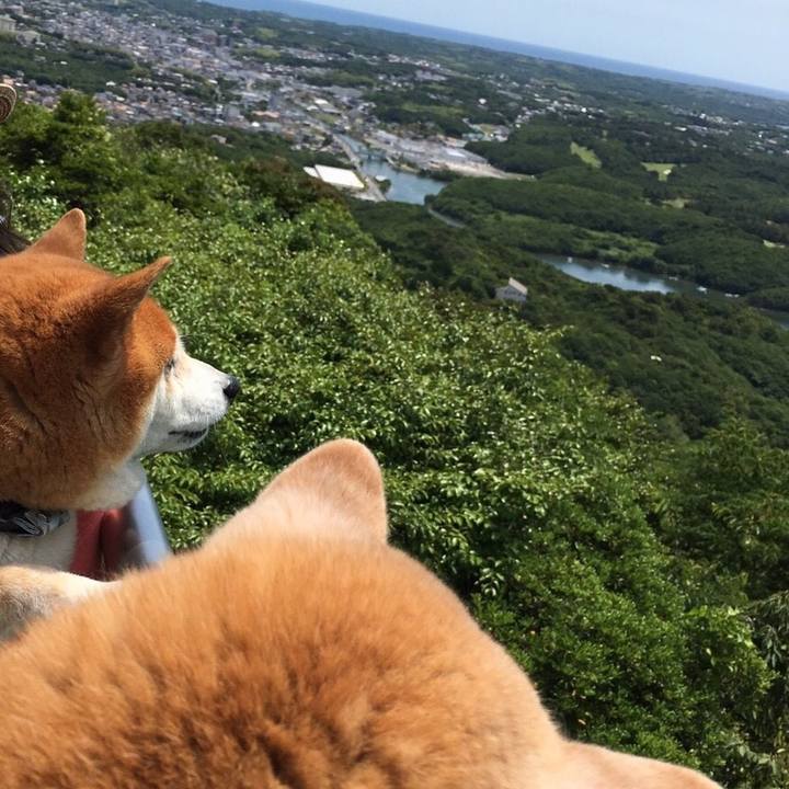 22375ac3 d472 4e74 a157 9397c72110a2