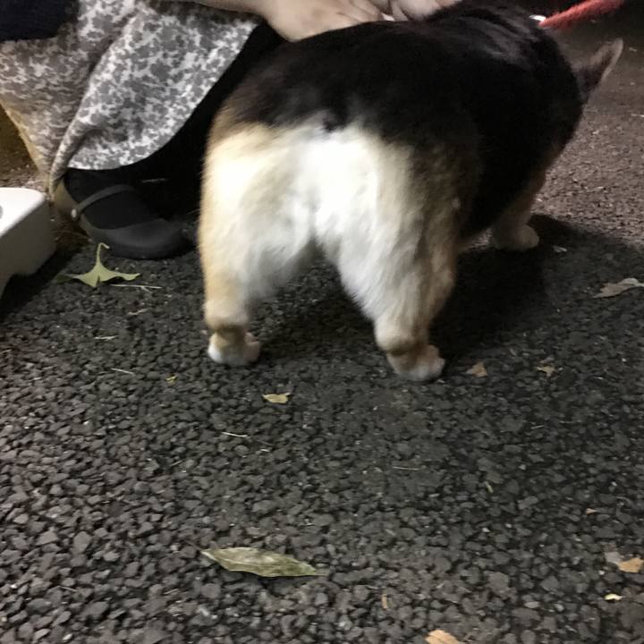 2238bf2f 6943 410c 982b 7951149e8152