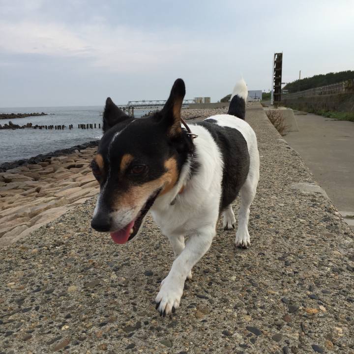 22392b7b b95e 4205 87f7 f72e29608fa8