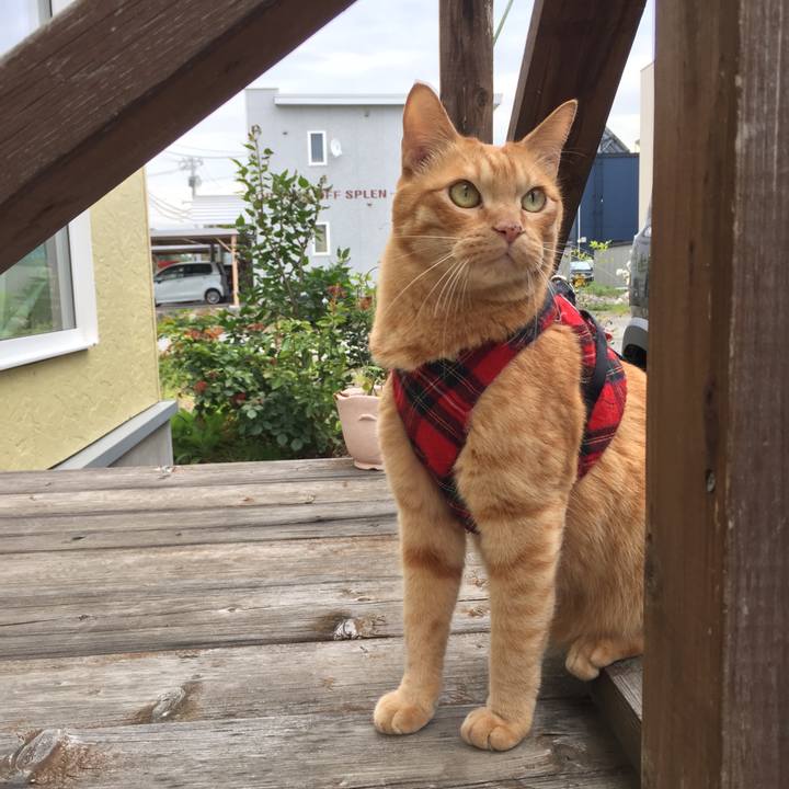 22396f37 509b 45ce b90a ed4bab4cb86c